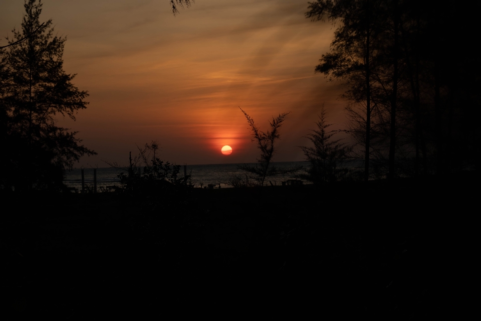 Natural sky nature sunset