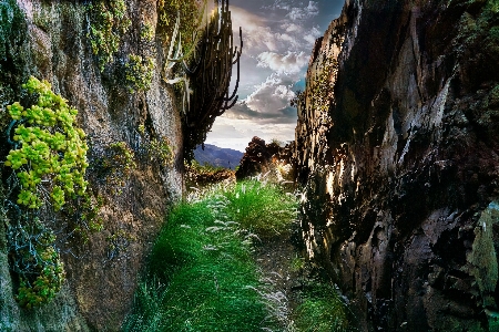 Corridor rocks herb nature Photo