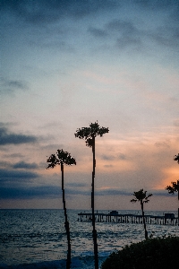 空 木 自然 地平線 写真