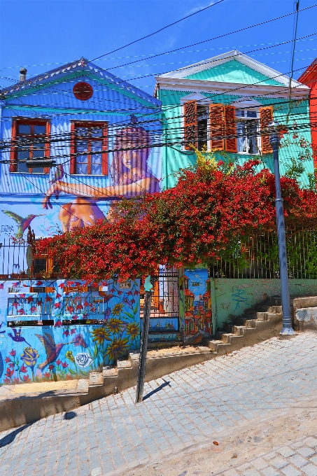 Valparaíso
 chili couleurs des rues