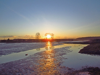 Natur wasser sonne bäume Foto