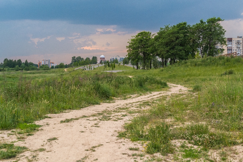 Park road sky natural landscape