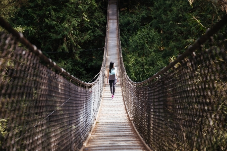 Bridge canopy walkway suspension rope Photo