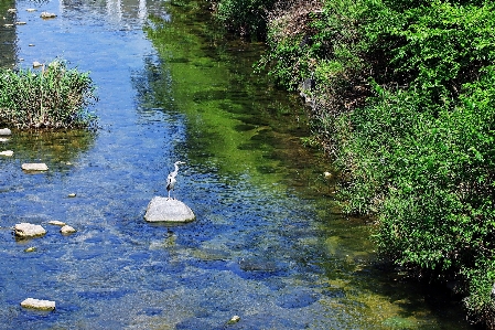 Photo Séoul
 corée rivière plan d'eau
