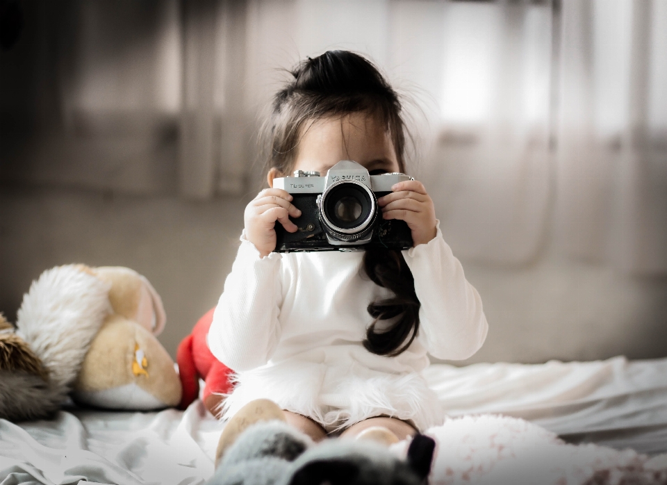 Foto anjing pendamping
 fotografi canidae
