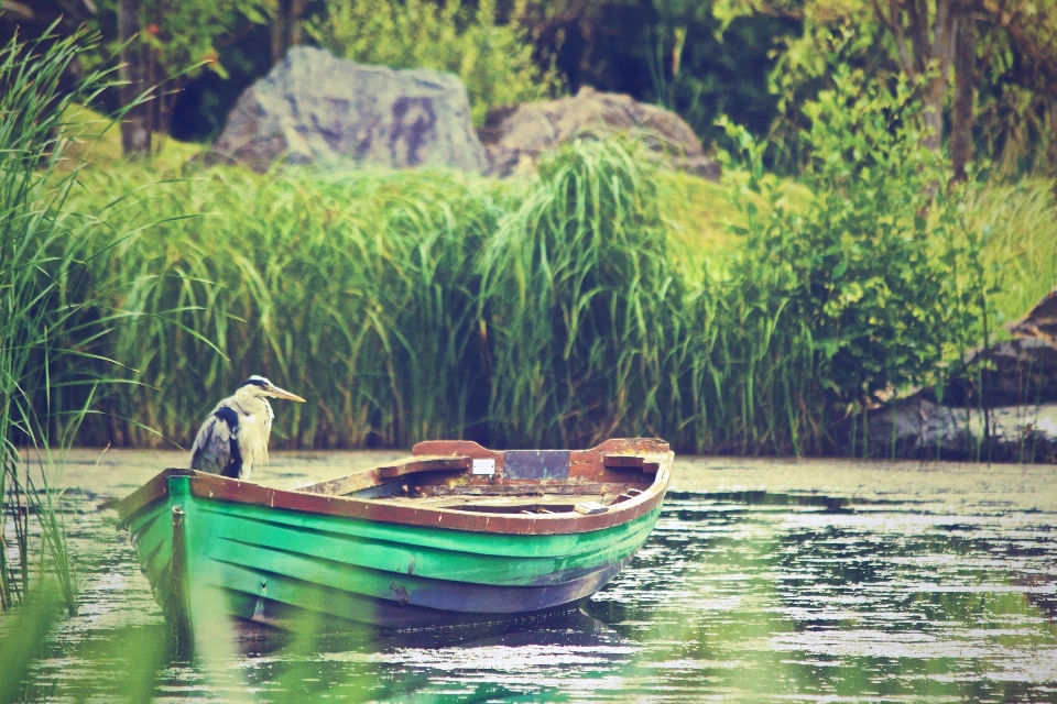 Water transportation nature green