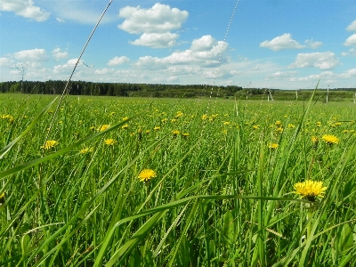 Natur wald natürliche landschaft
 himmel Foto