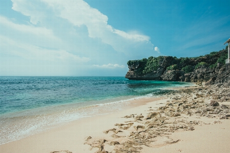 Foto Badan air
 pantai laut pesisir