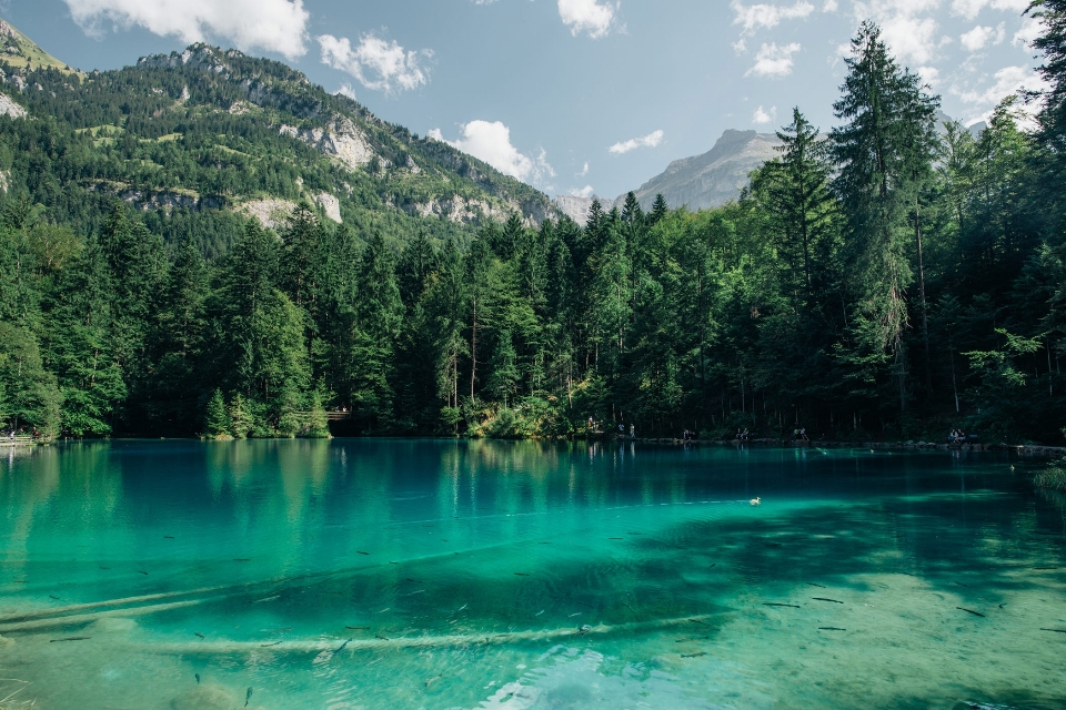 Body of water natural landscape nature