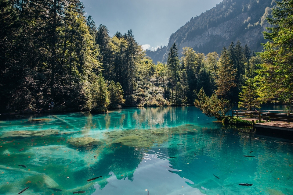 水域
 自然 自然の風景
 水