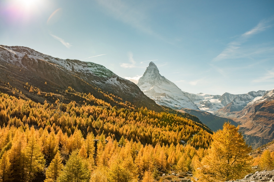 Mountainous landforms mountain larix lyalliisubalpine larch nature