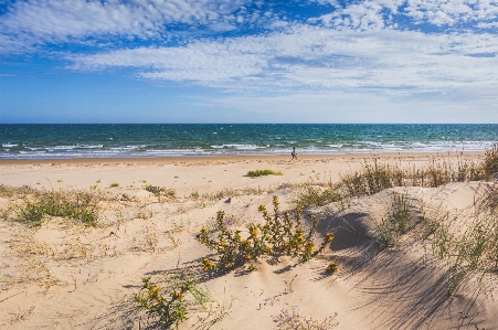 Beach sand shore natural environment Photo