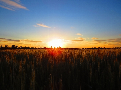 Sky horizon nature natural landscape Photo