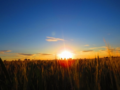 Sky horizon nature sunrise Photo