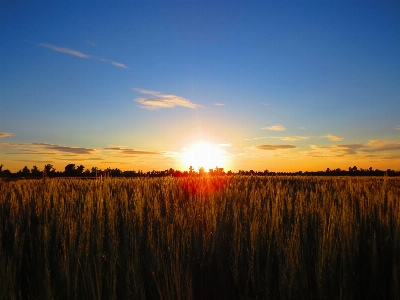 Sky natural landscape horizon nature Photo