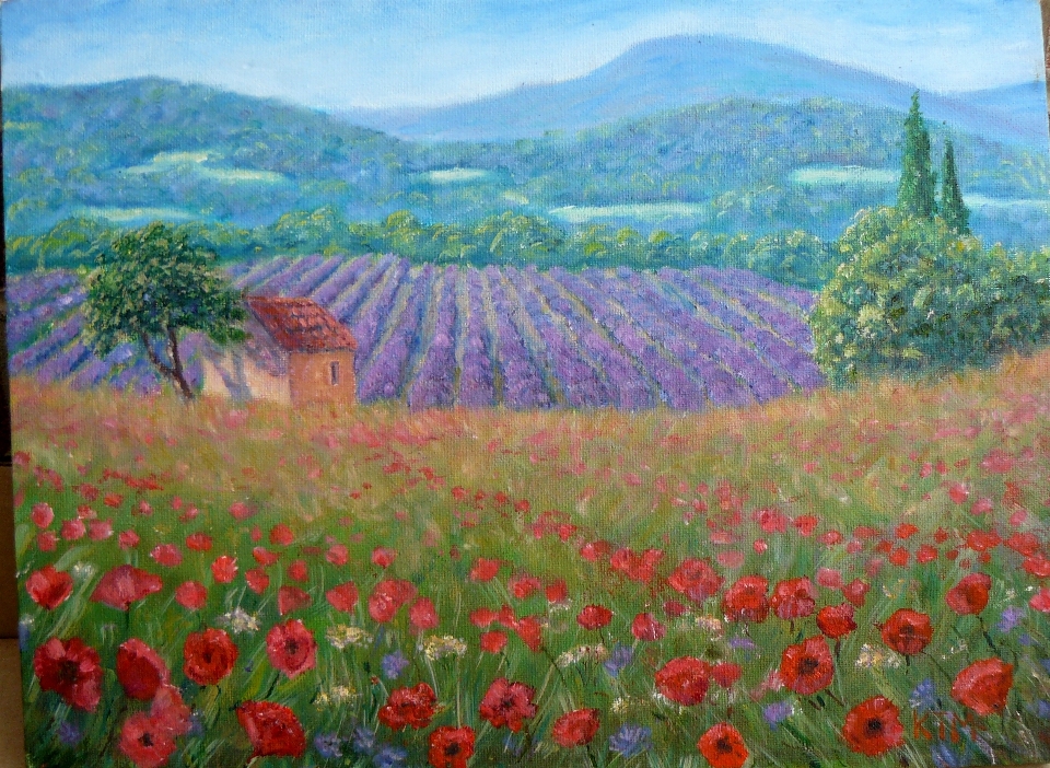 Painting of province poppies lavender field