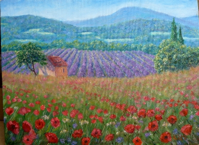 Painting of province poppies lavender field Photo