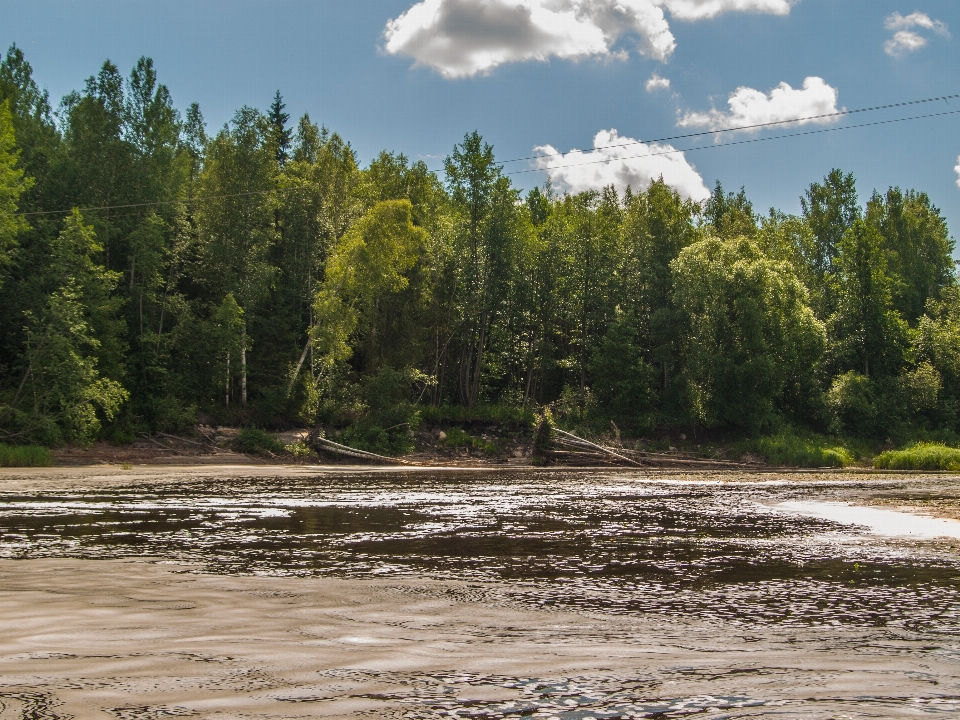 Fluss gewässer
 natur natürliche landschaft
