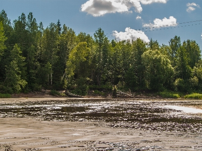 River body of water nature natural landscape Photo