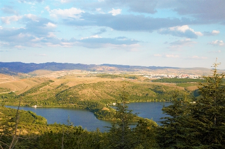 Landscape lake nature trees Photo