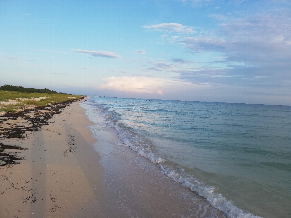 Sea body of water shore coast