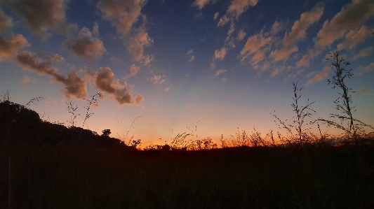 Paisagem natureza park landscape Photo