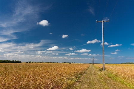 Foto Céu pastagem
 campo paisagem natural
