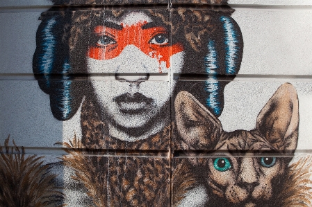 Cat whiskers felidae street art Photo