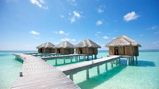 Maldives resort swimming pool property Photo