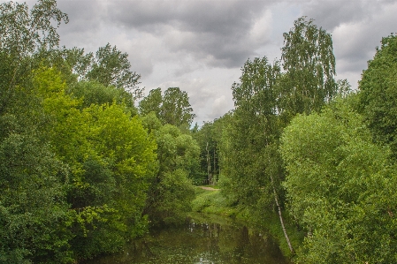 Natural nature landscape vegetation Photo