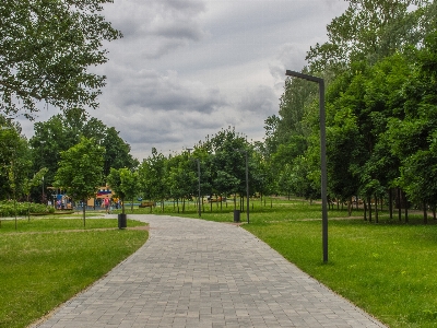 Natural walkway public space grass Photo