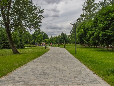 Natural walkway public space landscape Photo