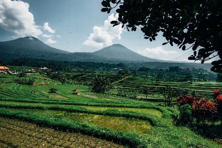 Foto Alam dataran tinggi gunung pemandangan alam
