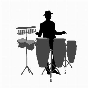 Conga drum bongo player Photo