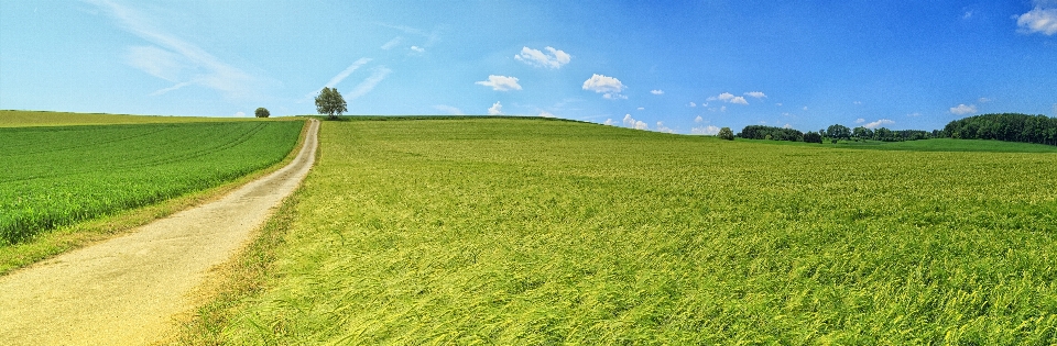 Pastagem
 campo paisagem natural
 verde