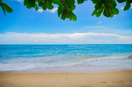 空 ビーチ 海 青 写真