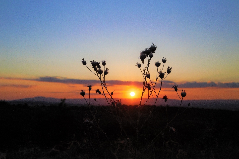 Atardecer noche naturaleza enrojecimiento
