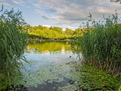 Image natural landscape nature water Photo