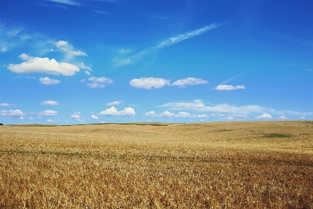 Sky field grassland plain Photo