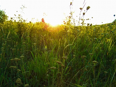 Nature sunset retro artistic Photo