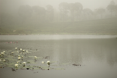 Danau lake bandung atmospheric phenomenon Photo