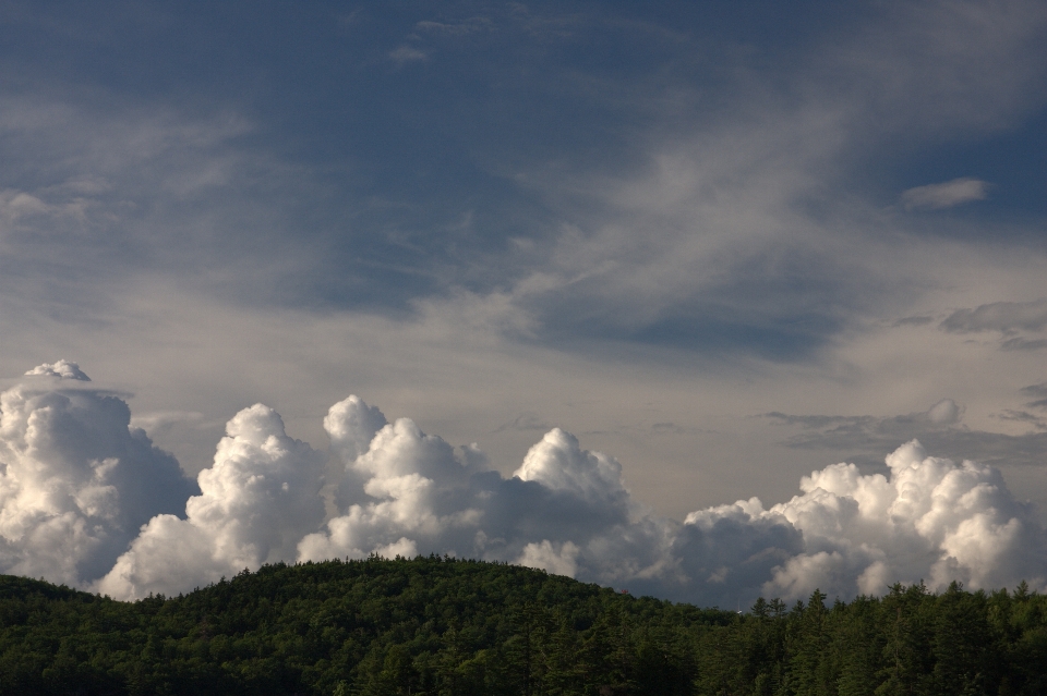 Niebo chmura cumulus
 dzień