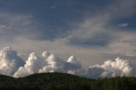 Sky cloud cumulus daytime Photo