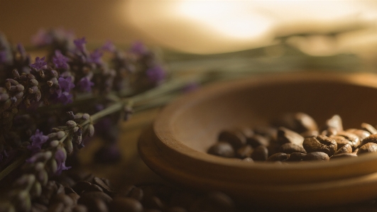 Coffee flower lavender romantic Photo