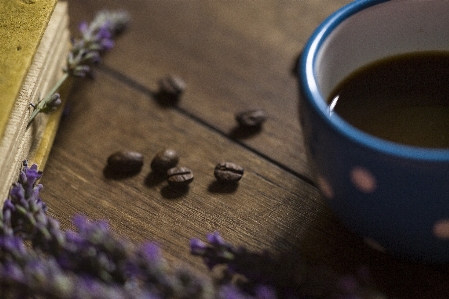 Coffee lavender romantic lilac Photo