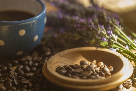 Coffee blue lilac lavender Photo