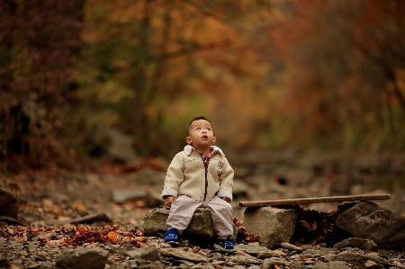 自然の中の人々
 葉 座っている 秋 写真