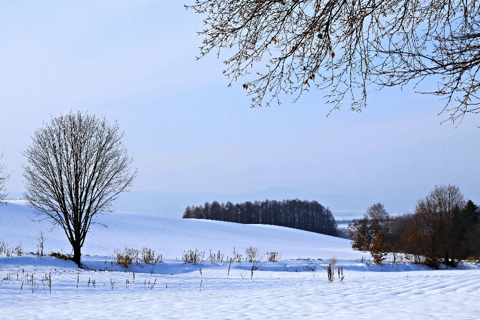 Hokkaido japan snow winter