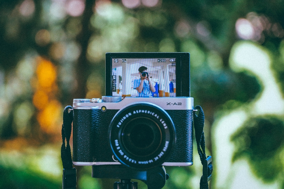 Cámaras ópticas
 cámara fotografía de apuntar y disparar
