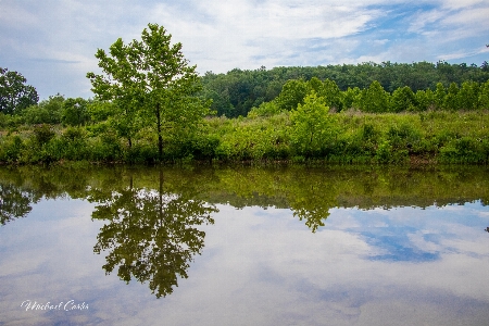 River reflection nature missouri Photo